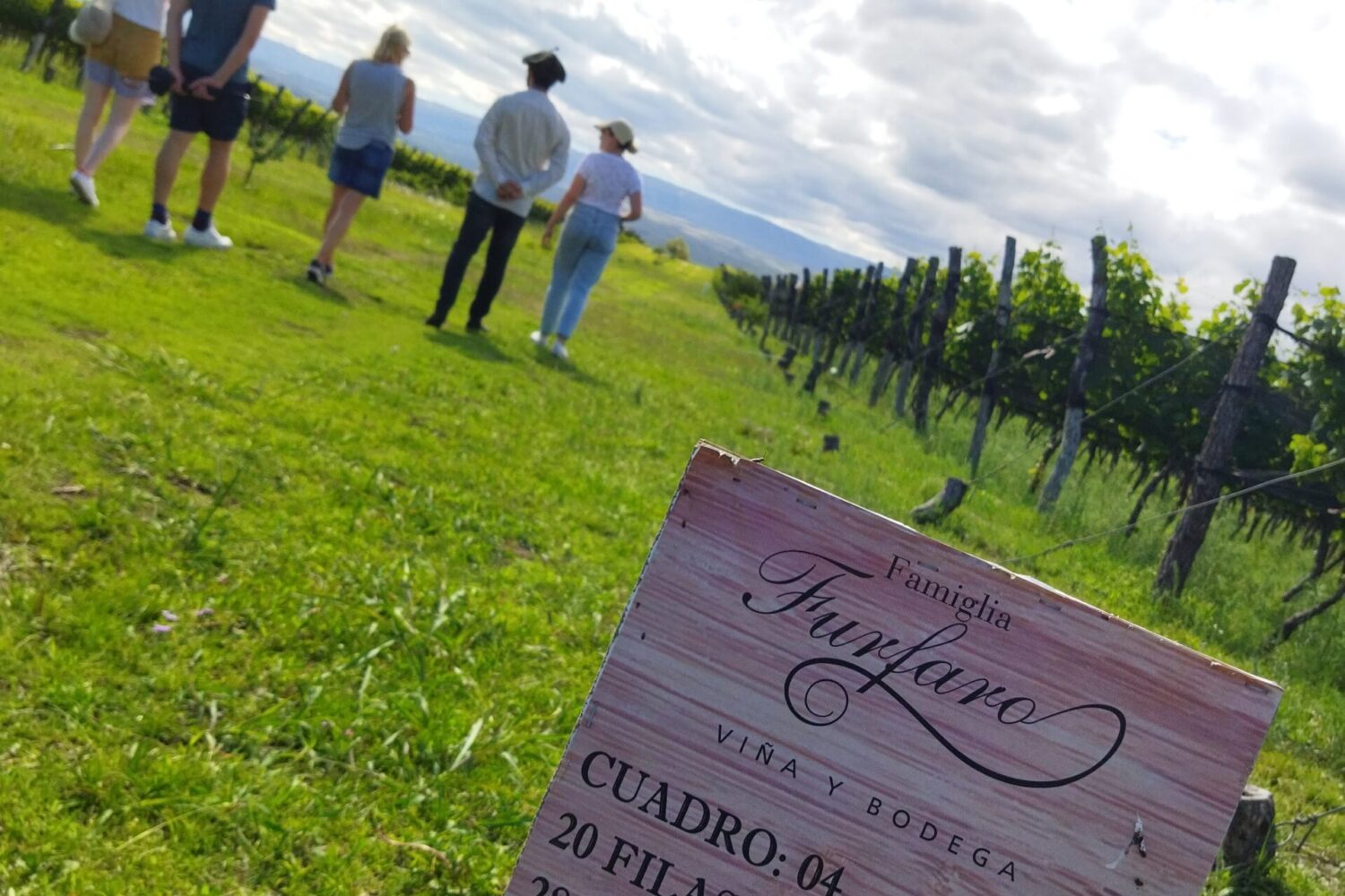 Enoturismo en Argentina