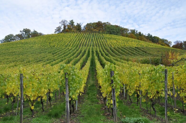 ¿Cómo me entero de las próximas salidas?