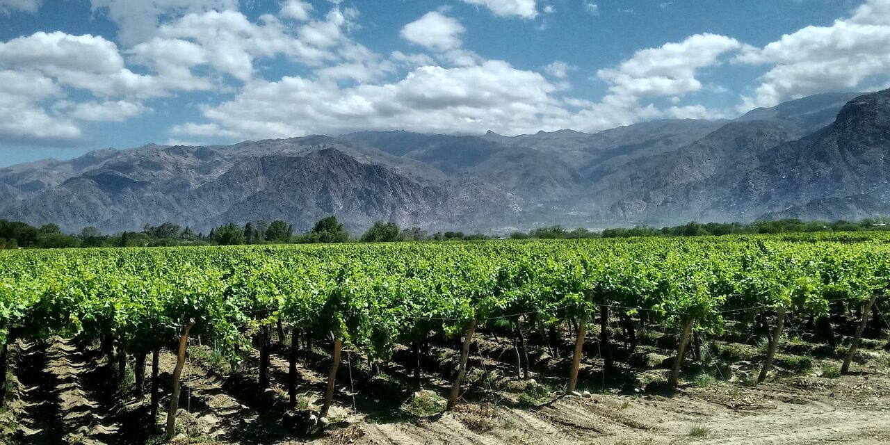 cafayates-g5bb55246f_1280