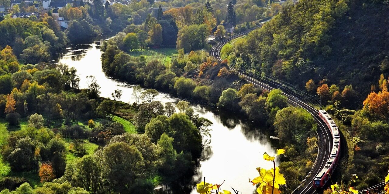 Viñedos Ruta del Rin